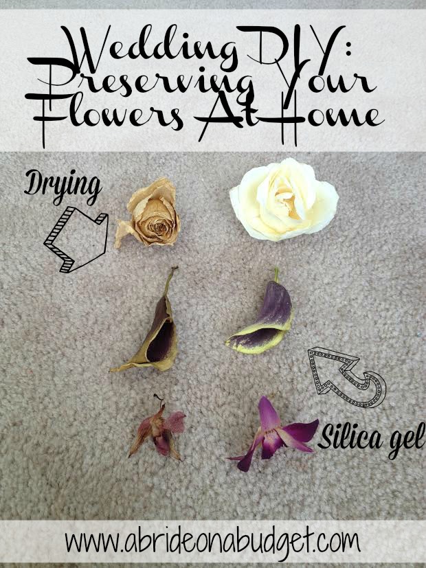 A Bride On A Budget: Wedding DIY: Preserving Your Flowers At Home